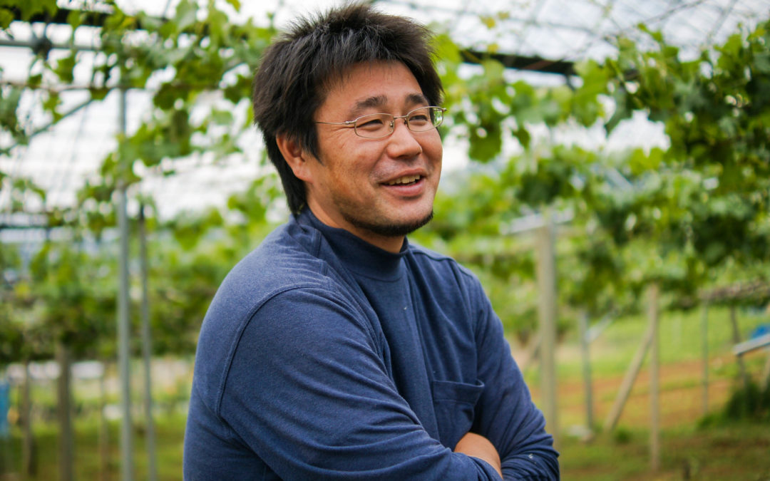 Hototo Japan